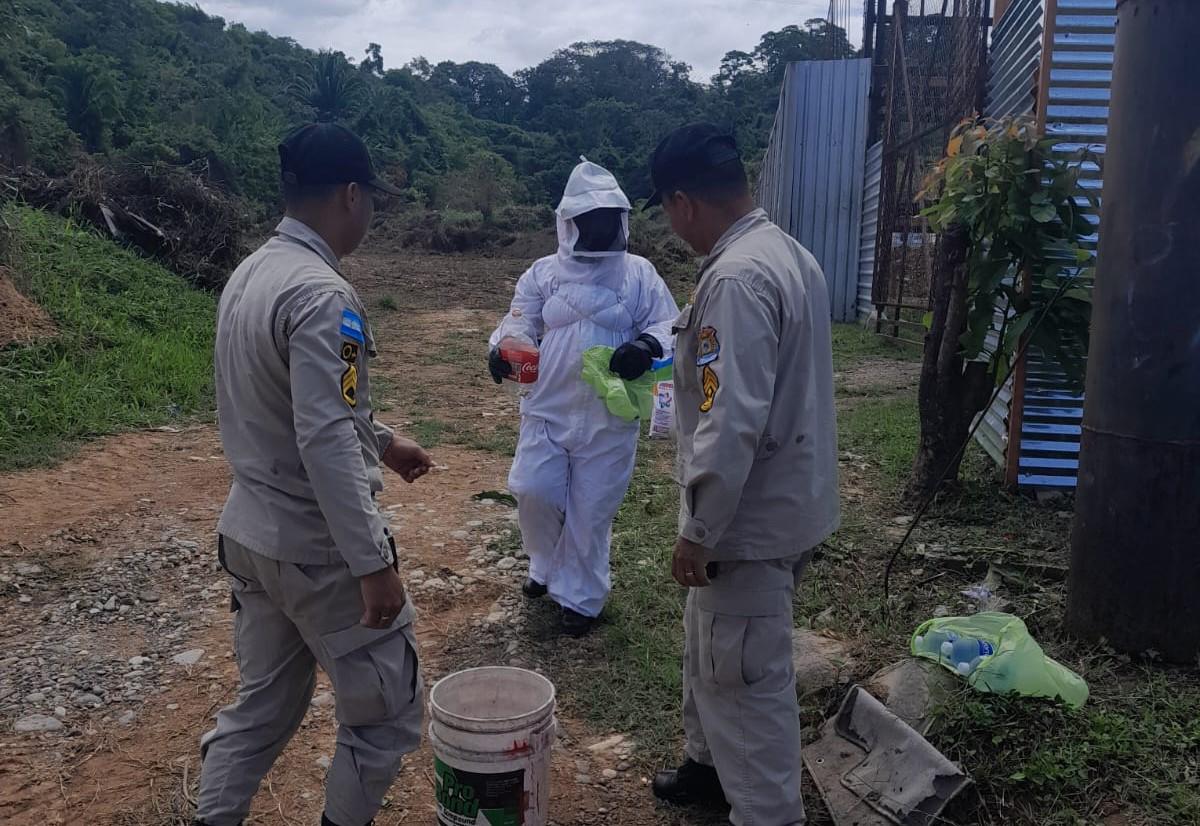Bomberos lograron controlar el enjambre de abejas.