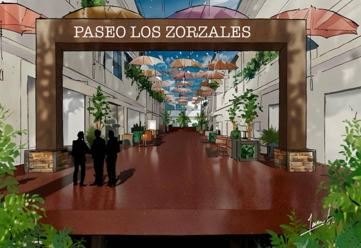 Así era la peatonal de SPS, cómo está hoy y lo que quieren hacer