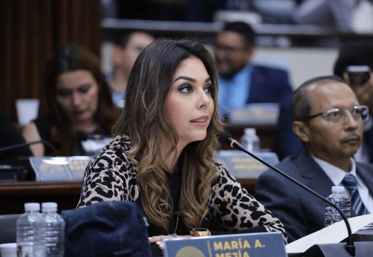 Diputada María Antonieta Mejía arremete contra Rixi Moncada