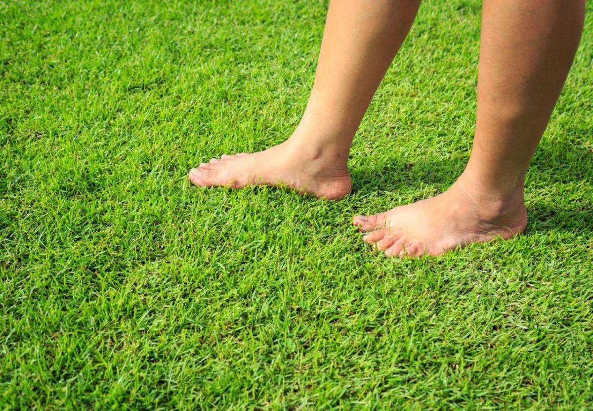 Ecoterapia: Beneficios de caminar descalzo, tocar plantas y bañar en un río