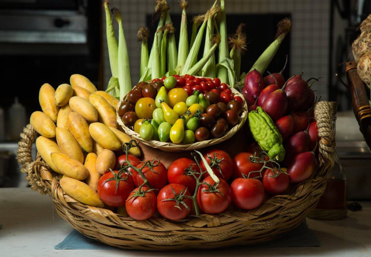 Ciencia “fructífera”, aprende a conservar tus frutas y vegetales
