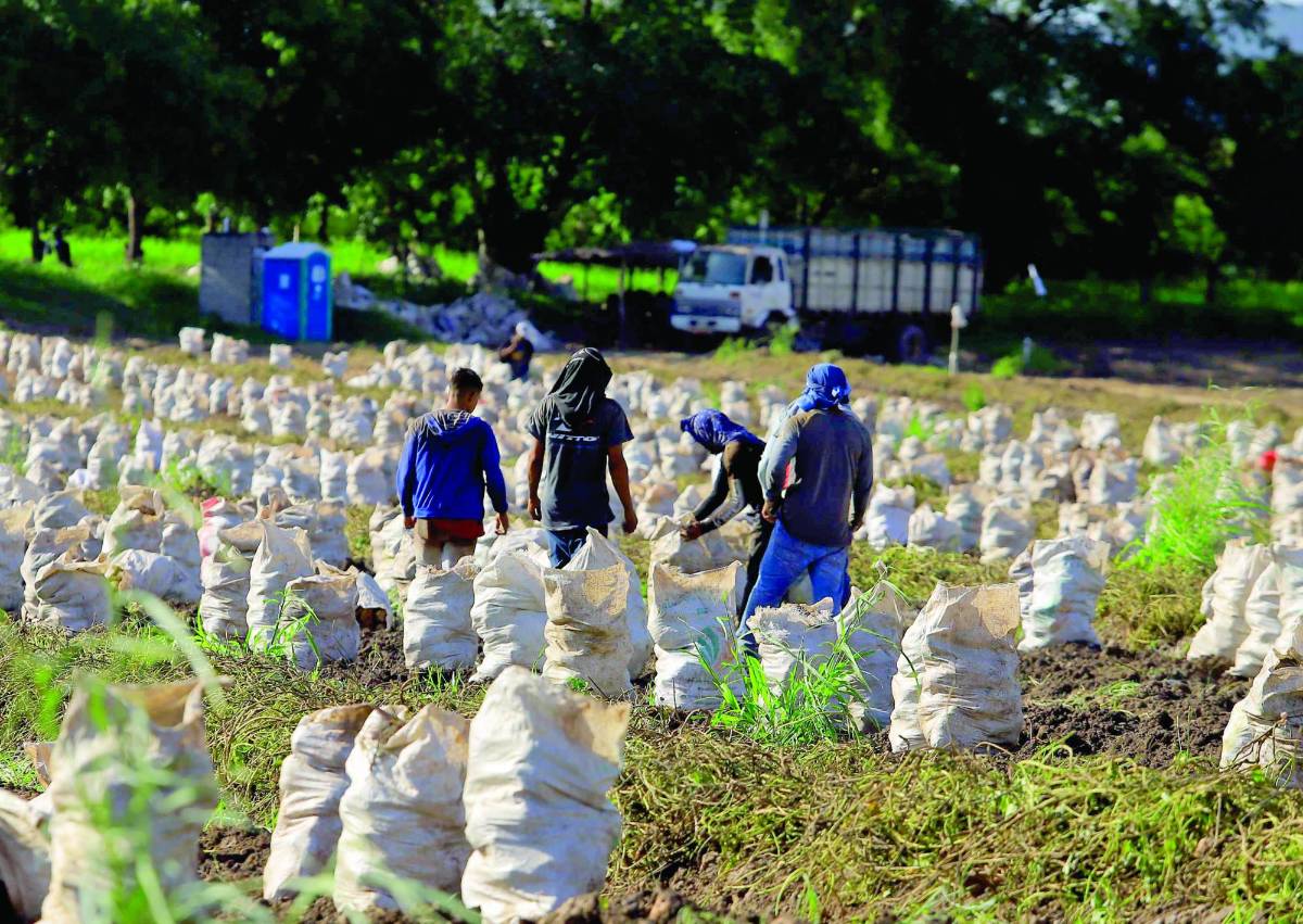 Sectores reclaman agenda económica y no política