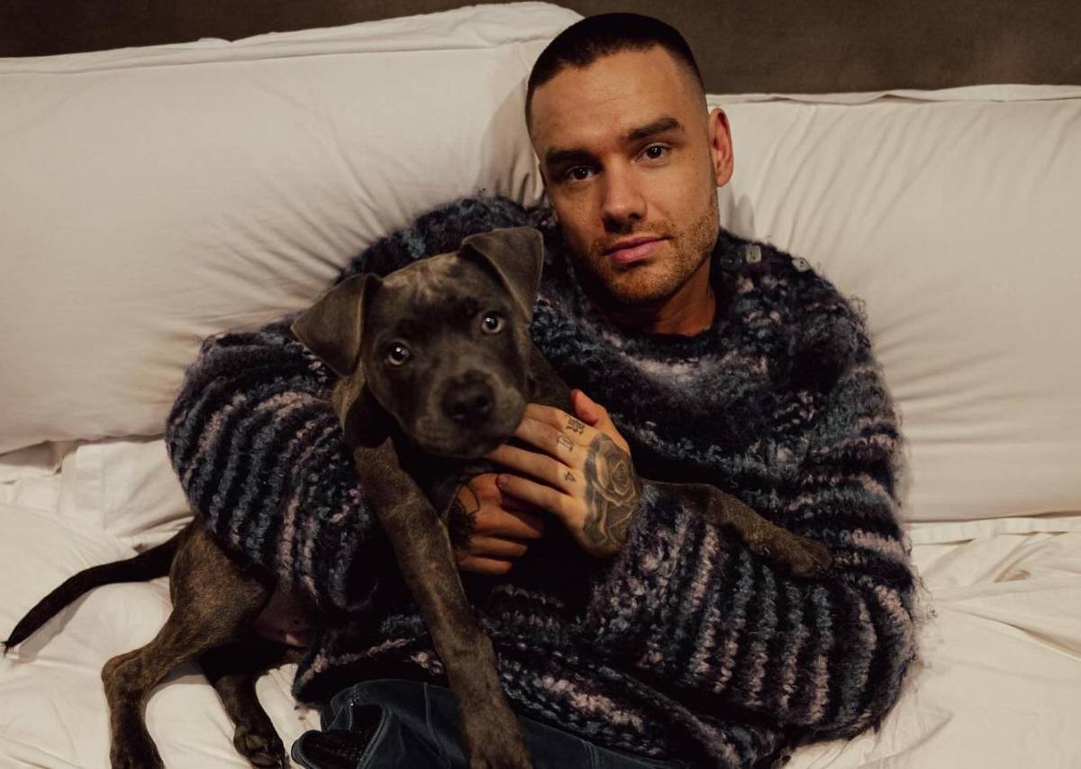 Autoridades de Argentina confirman que Liam Payne decidió tirarse del balcón