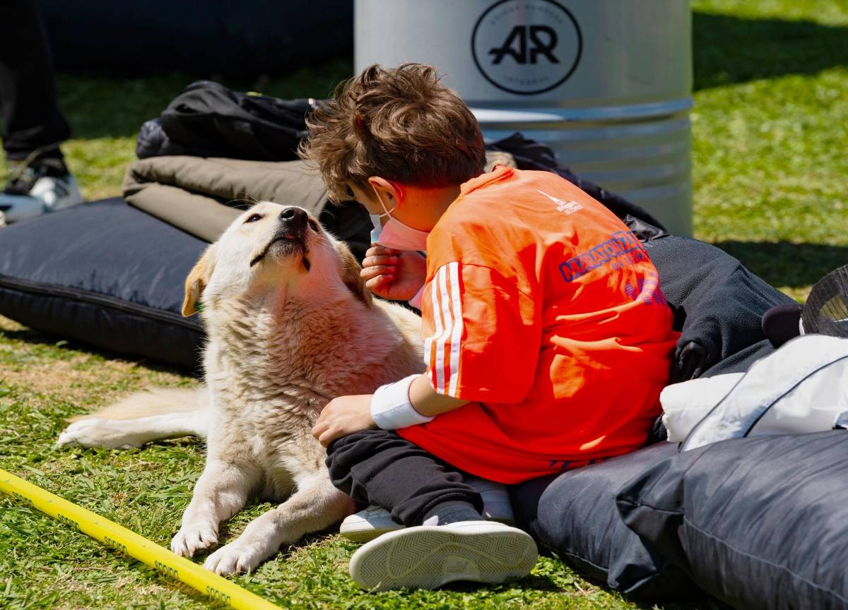 Los niños que crecen con perros son más felices y saludables