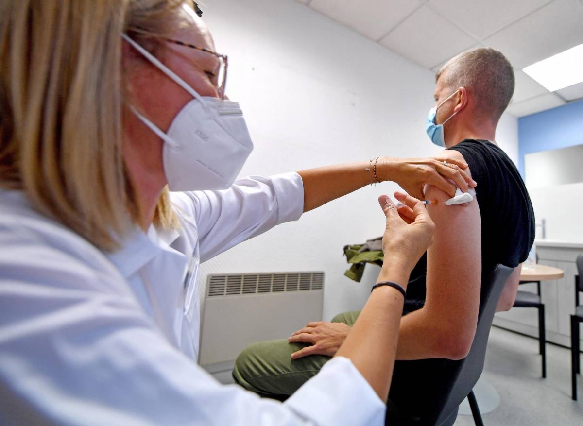 La OMS afirma que el brote de viruela del mono se debe a contagio entre personas