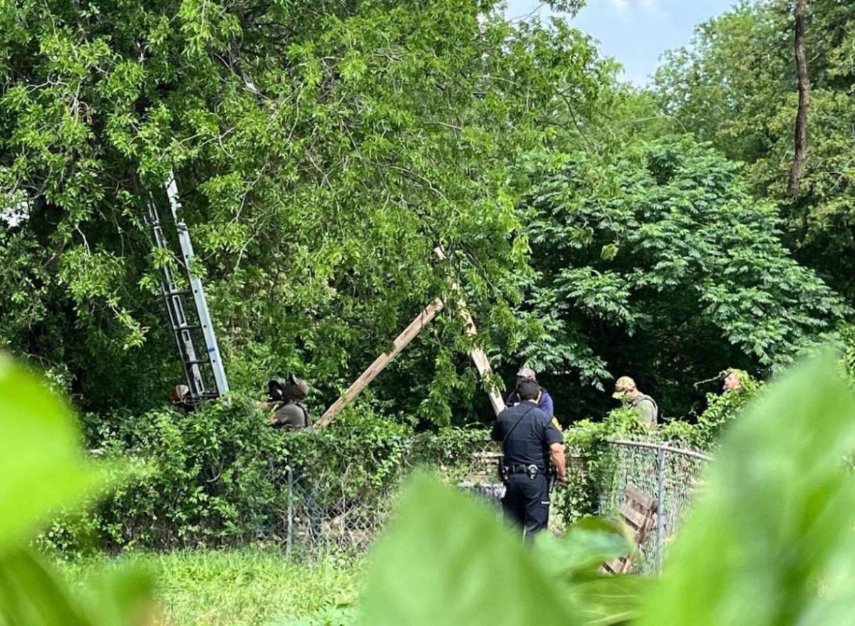 ¿Quién es el migrante que trepó un árbol para evitar ser arrestado?