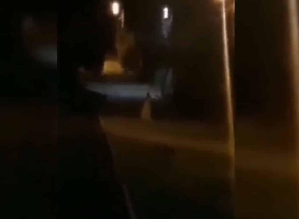 Varias cuentas en Twitter compartieron el video.