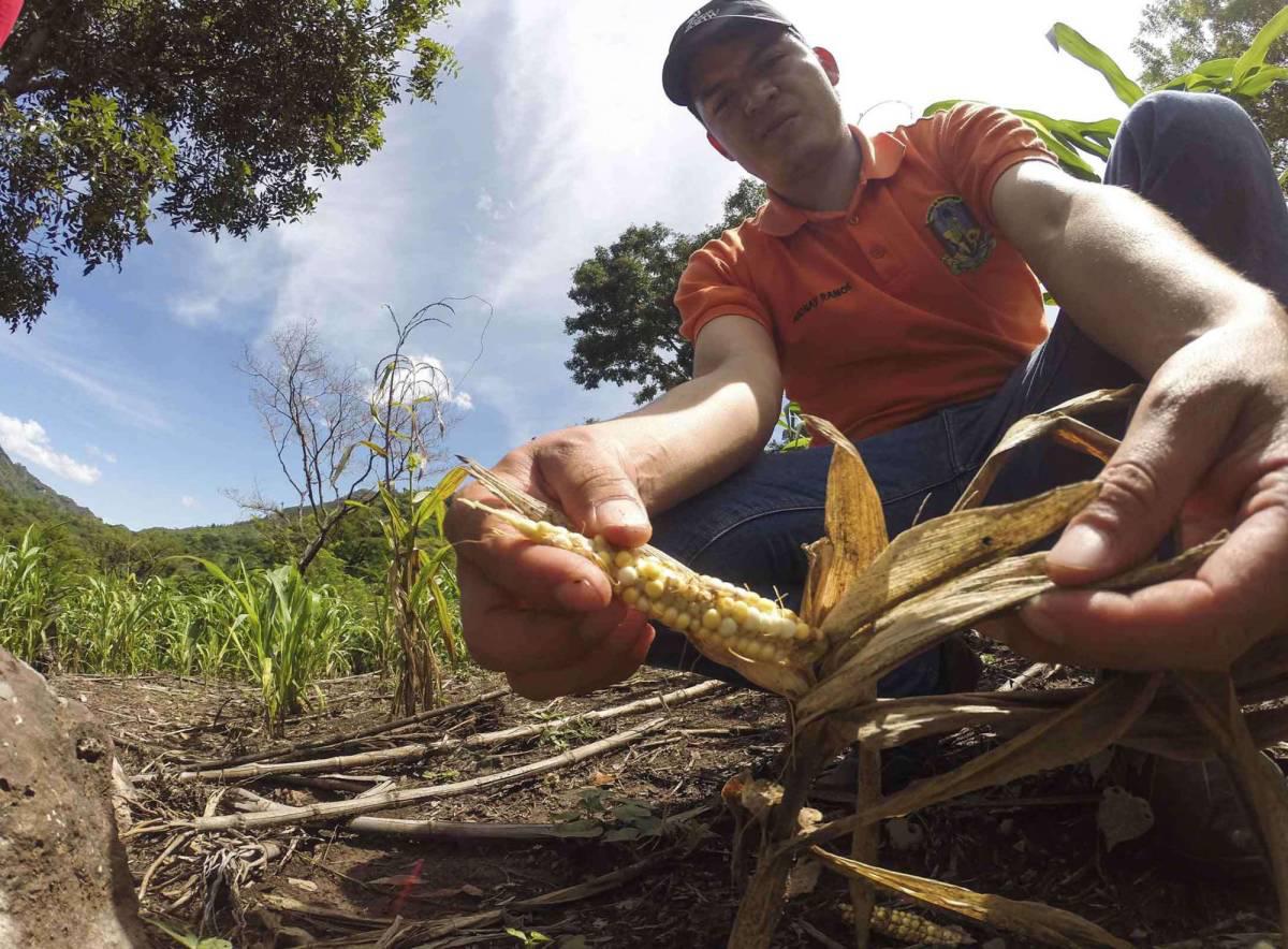 Honduras y la UE invertirán $2,7 millones contra el cambio climático
