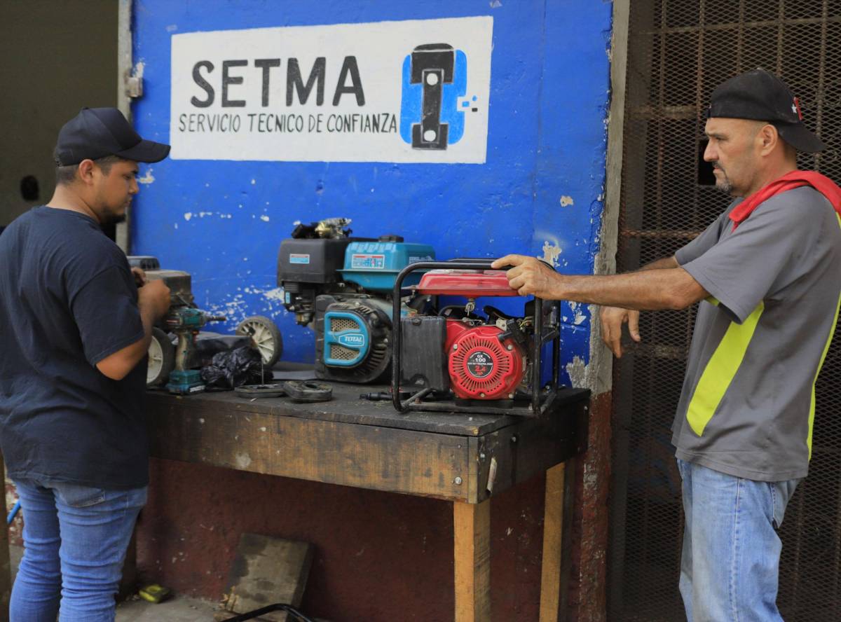 La reparación de plantas ha aumentado, aseguran técnicos.