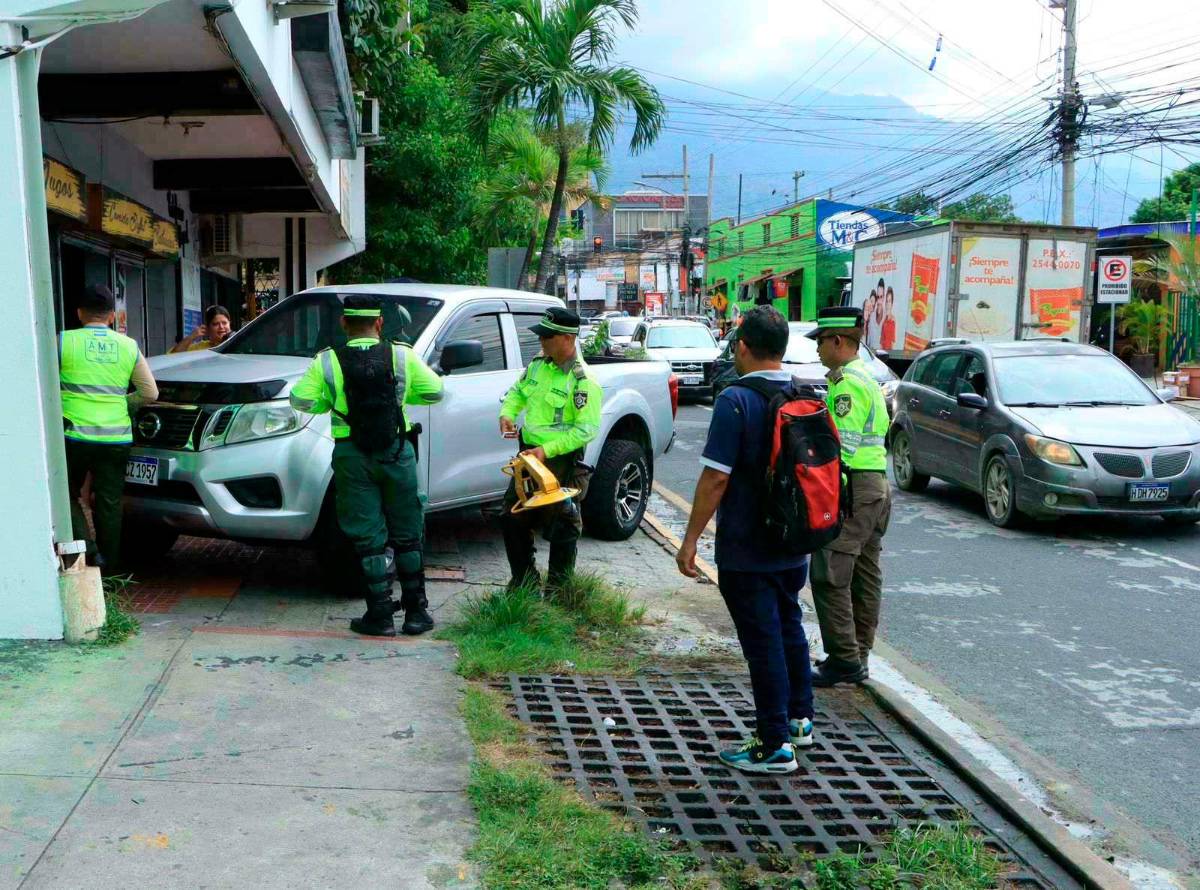 El que dañe una chacha va a  pagar hasta L10,000 de multa