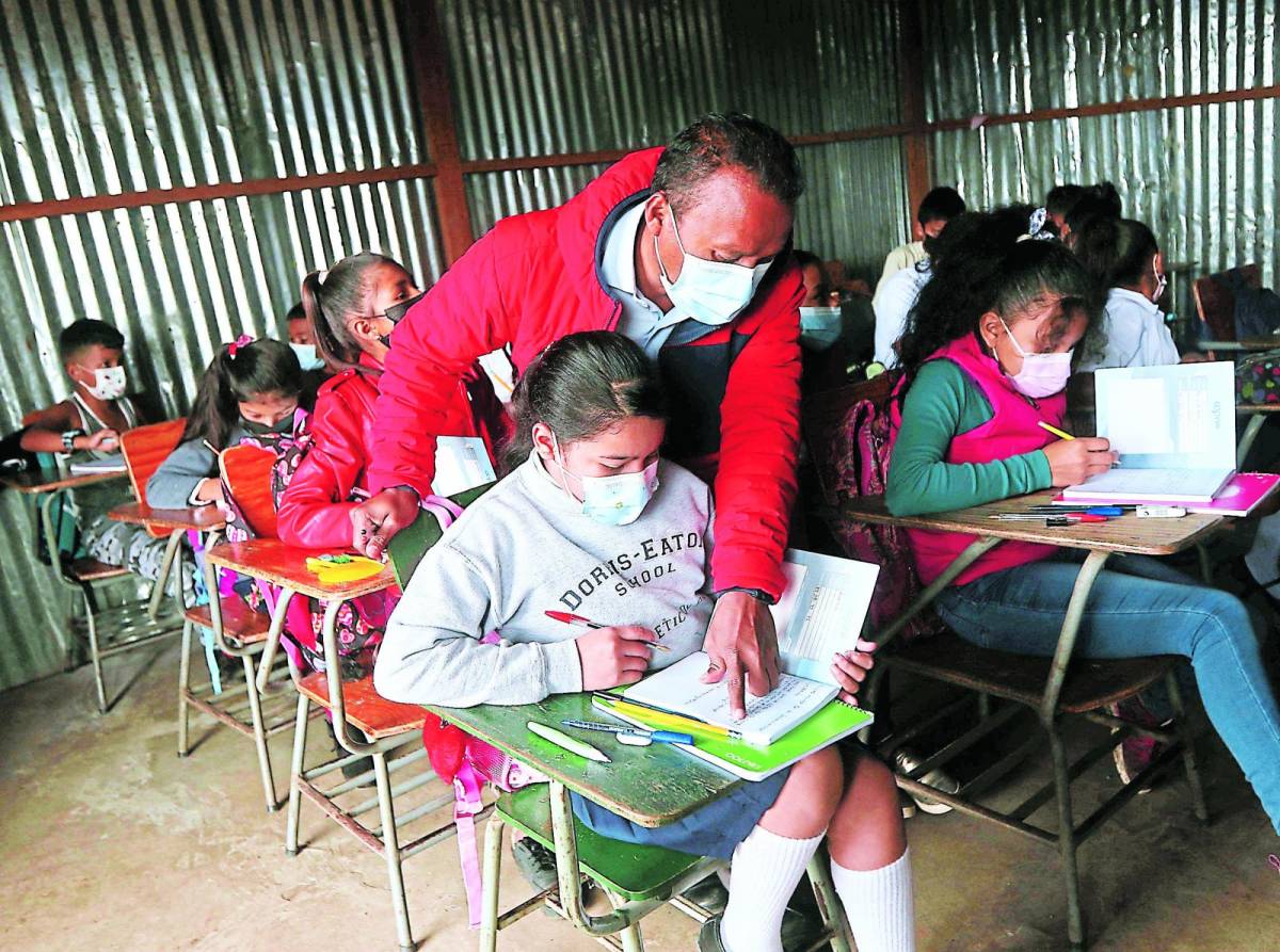 Déficit de docentes en centros educativos de Cortés es de 20%