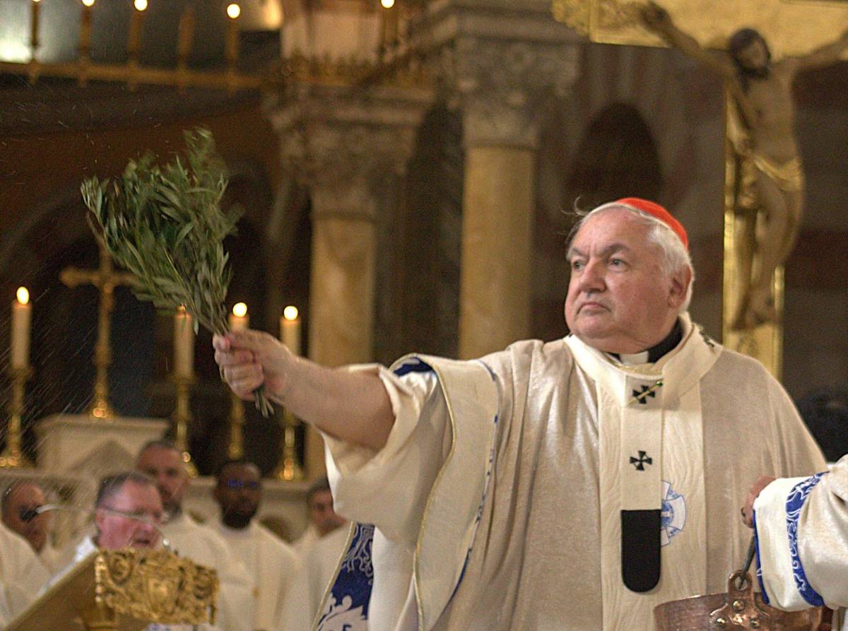 Aveline, el cardenal que podría continuar el legado de Francisco