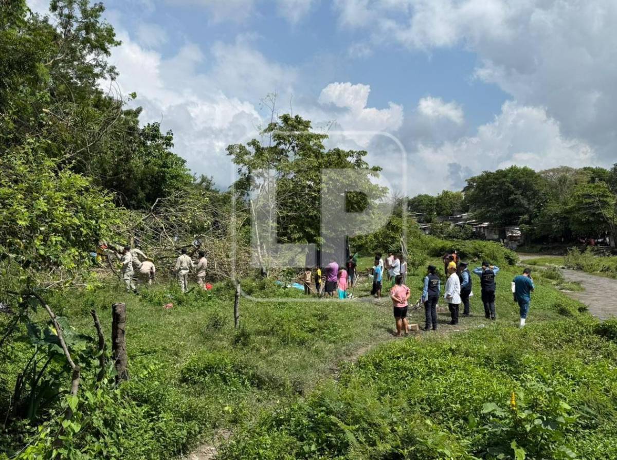 Árbol cae y mata a lavador de carros mientras dormía en los bordos de Río Blanco