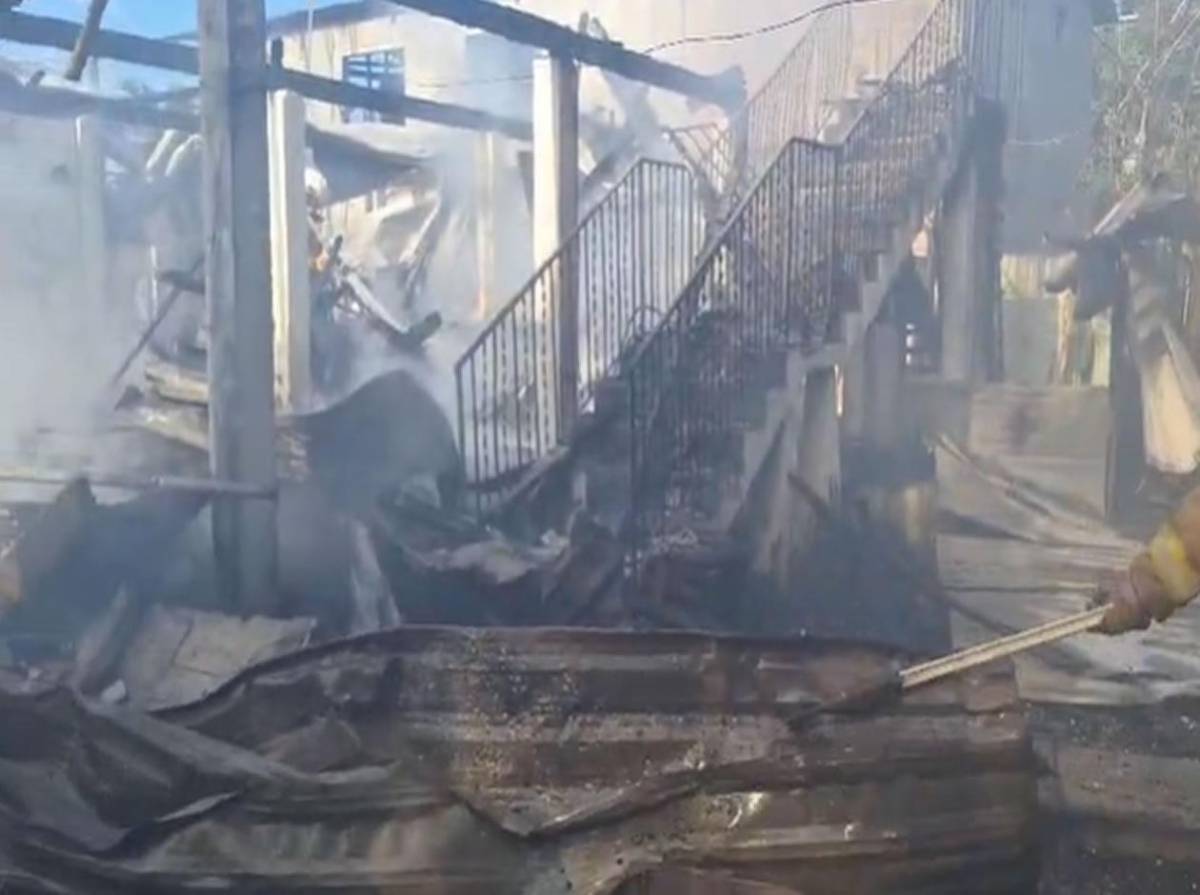 “Todo lo perdimos; lo importante es que pudimos salir a tiempo, sacar nuestros perritos”