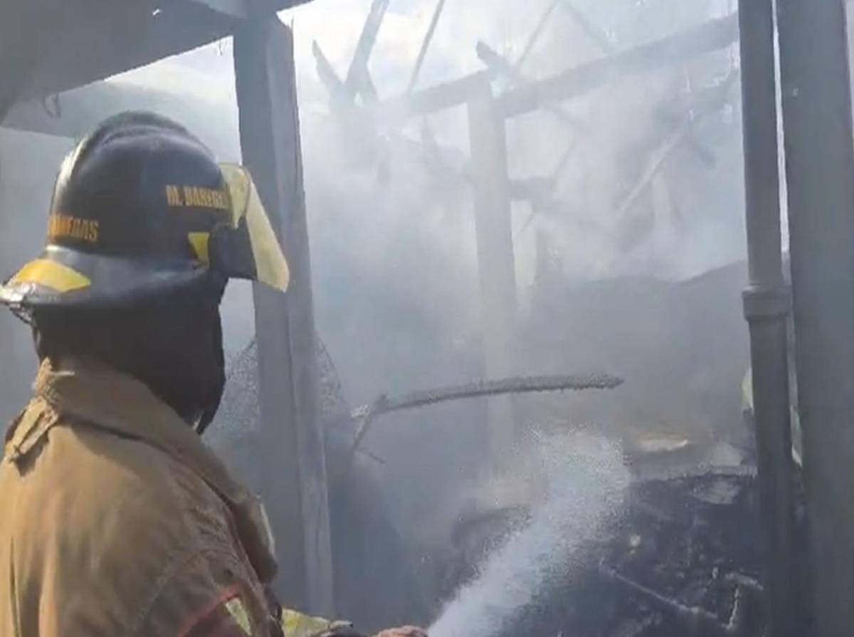 “Todo lo perdimos; lo importante es que pudimos salir a tiempo, sacar nuestros perritos”