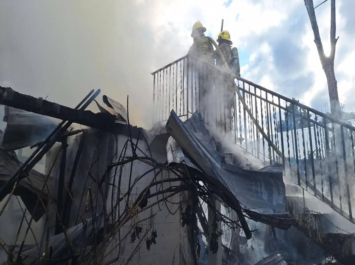 “Todo lo perdimos; lo importante es que pudimos salir a tiempo, sacar nuestros perritos”