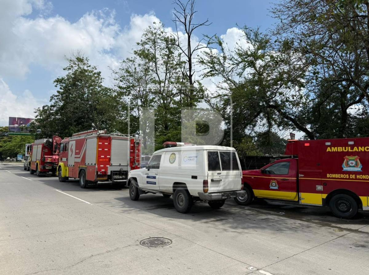 Árbol cae y mata a lavador de carros mientras dormía en los bordos de Río Blanco