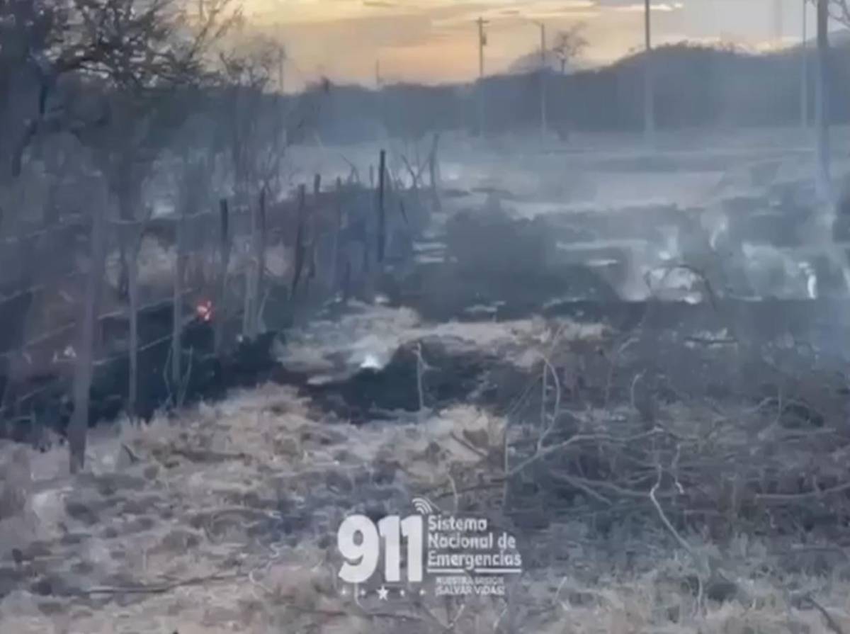 Imágenes del atentado contra sede del 911 en Choluteca:  intentaron quemar el edificio