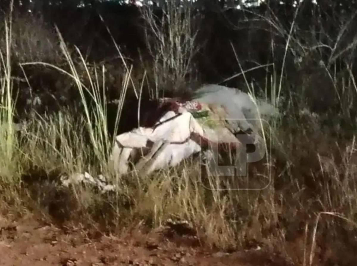 Así vigilaron y raptaron al médico Miguel Salgado: lo golpearon hasta matarlo