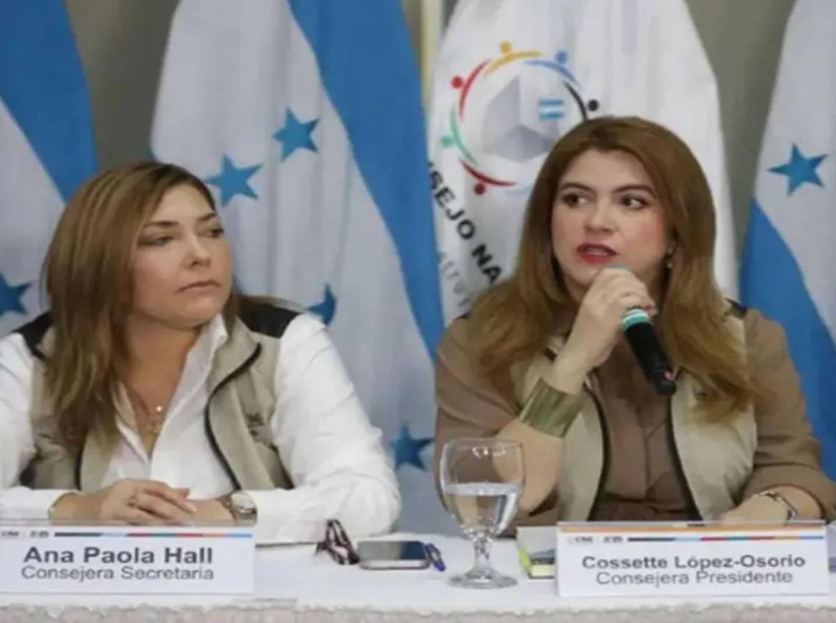 Tomás Zambrano a Libre: “Su objetivo es claro: evitar la declaratoria oficial y anular las elecciones”