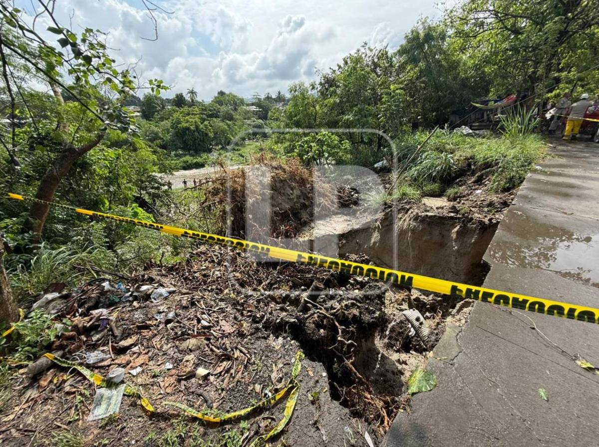 Árbol cae y mata a lavador de carros mientras dormía en los bordos de Río Blanco
