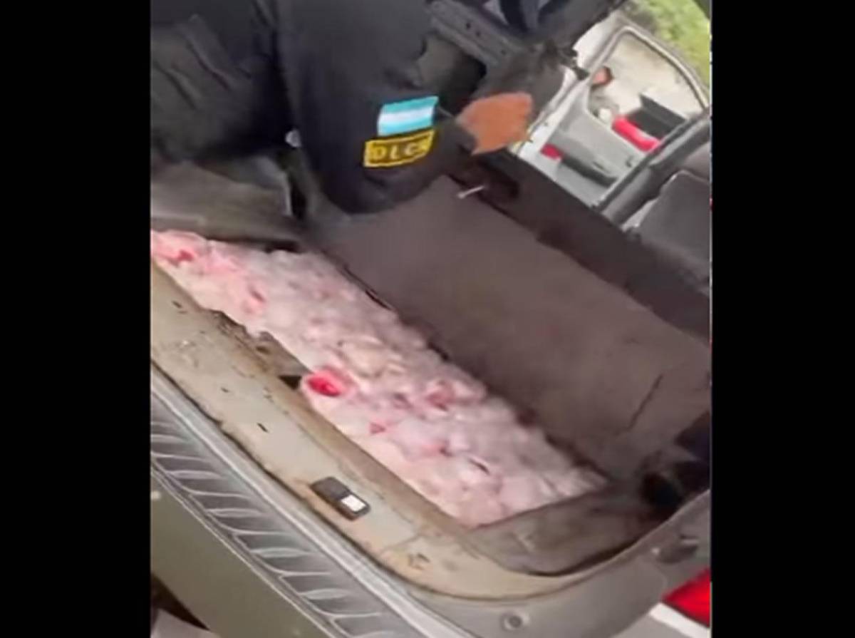 Allanamientos en SPS dejan tres detenidos, armas, vehículos y drogas decomisadas