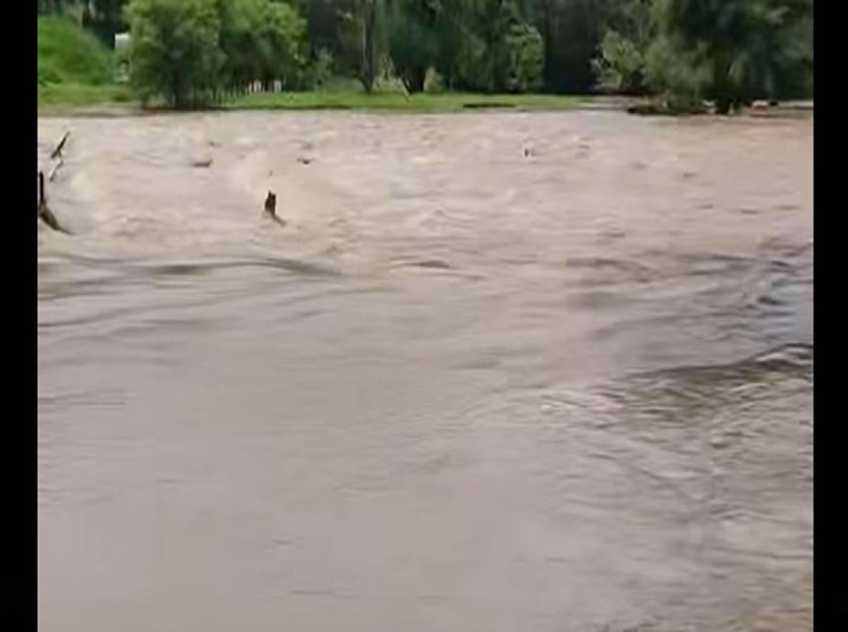 Fuertes lluvias azotan varias regiones de Olancho y provocan desbordamientos de ríos