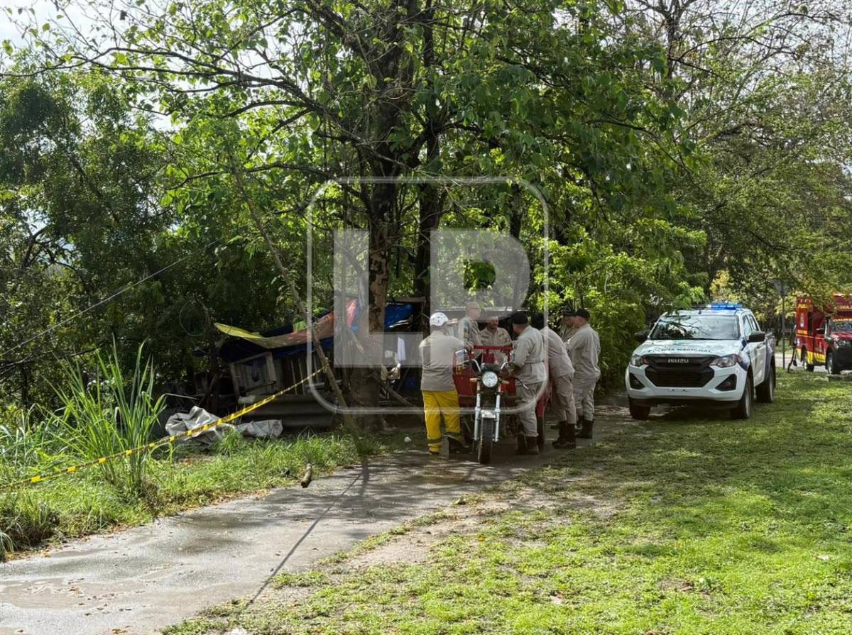 Árbol cae y mata a lavador de carros mientras dormía en los bordos de Río Blanco