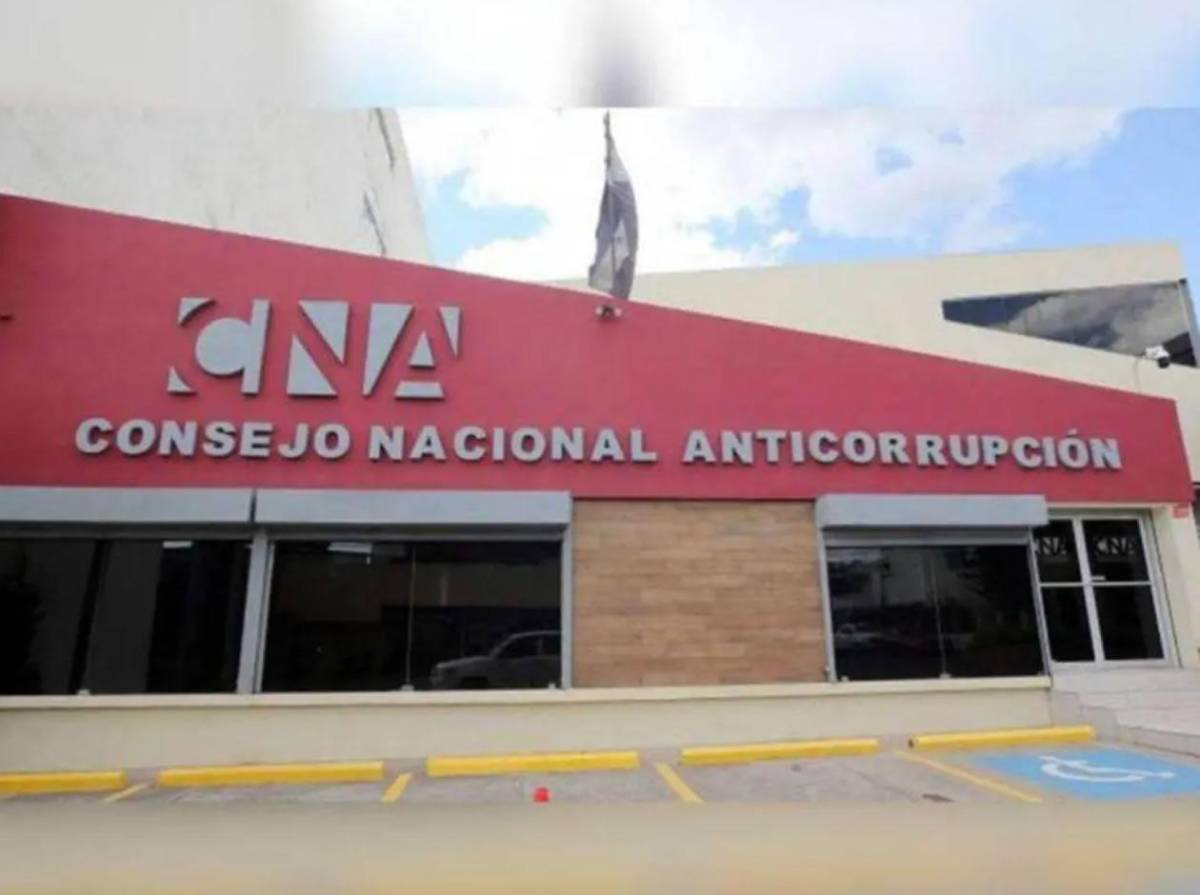 Estos son los resultados del conteo independiente del CNA sobre las elecciones