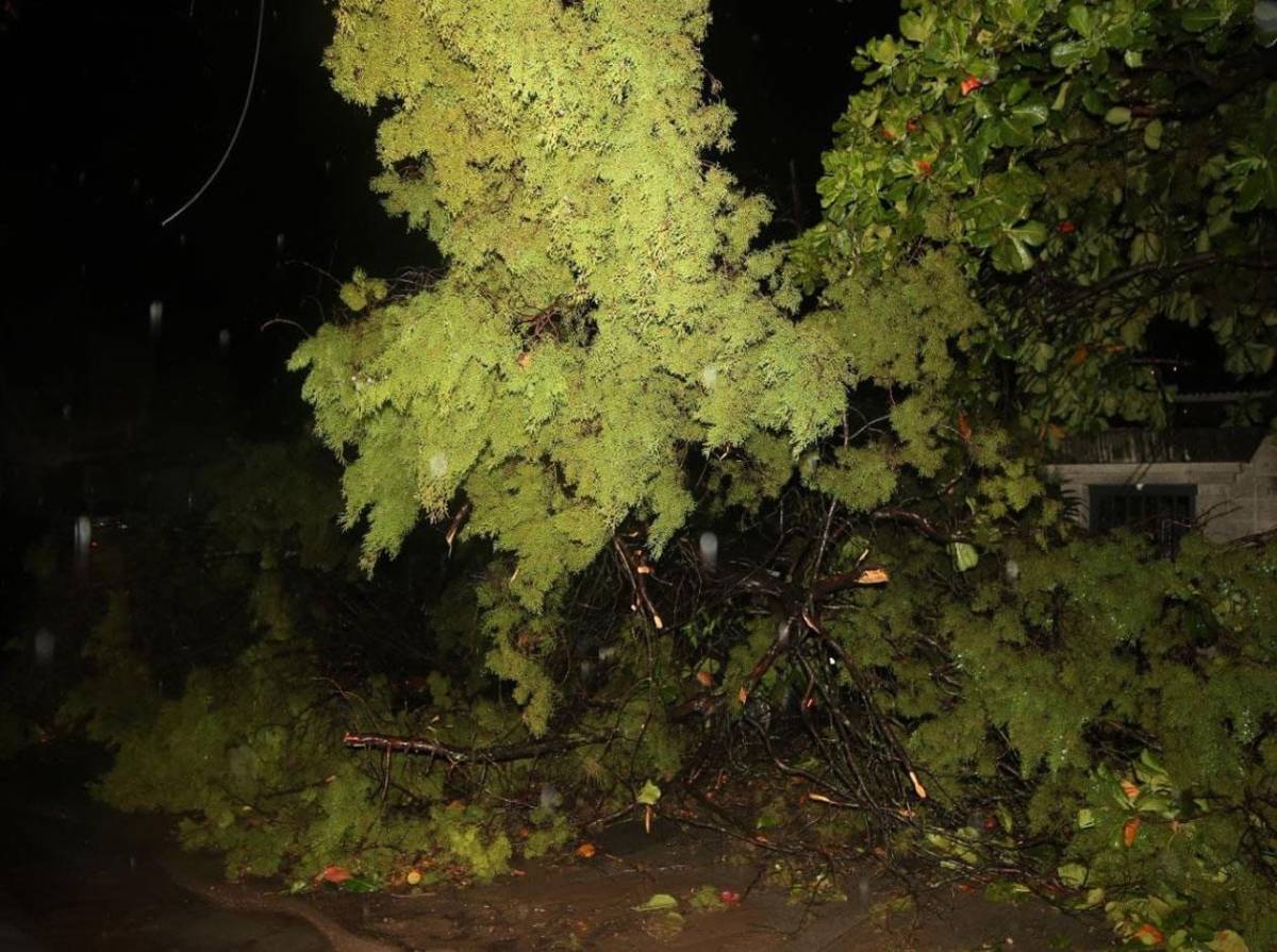 Muertos, derrumbes y calles inundadas por las lluvias en Honduras