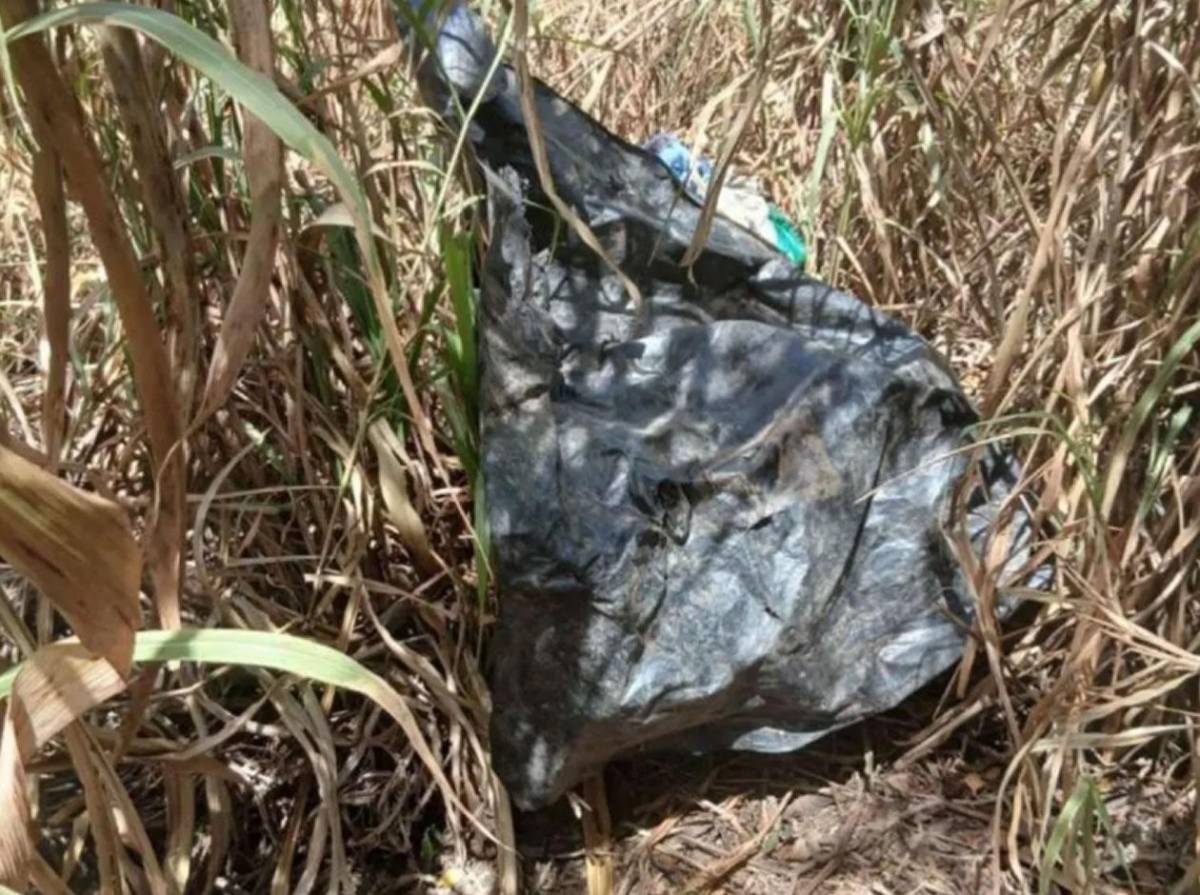 Alcohol, discusión y una carreta: hombre intentó ocultar el cadáver de su amigo