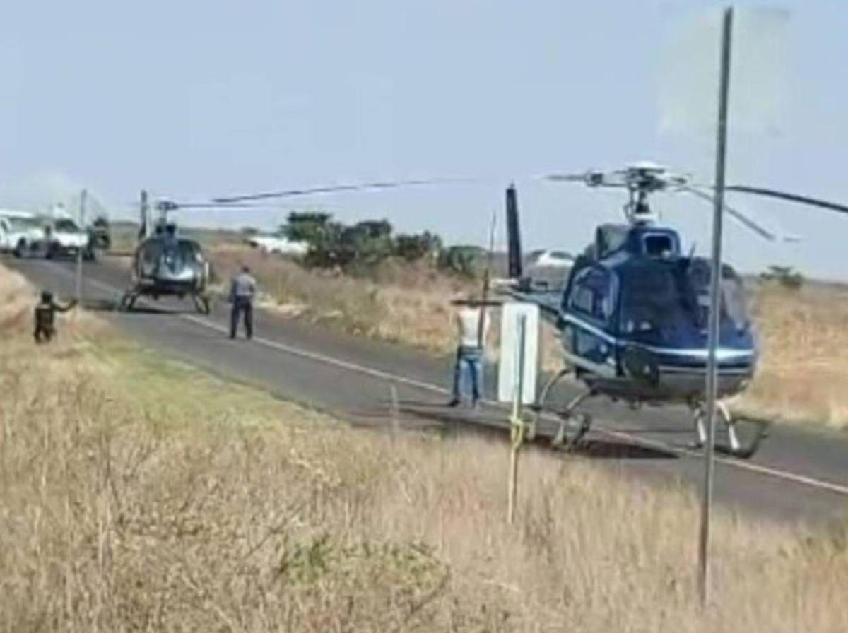Tragedia en carretera: al menos nueve muertos tras impactar autobús contra un árbol