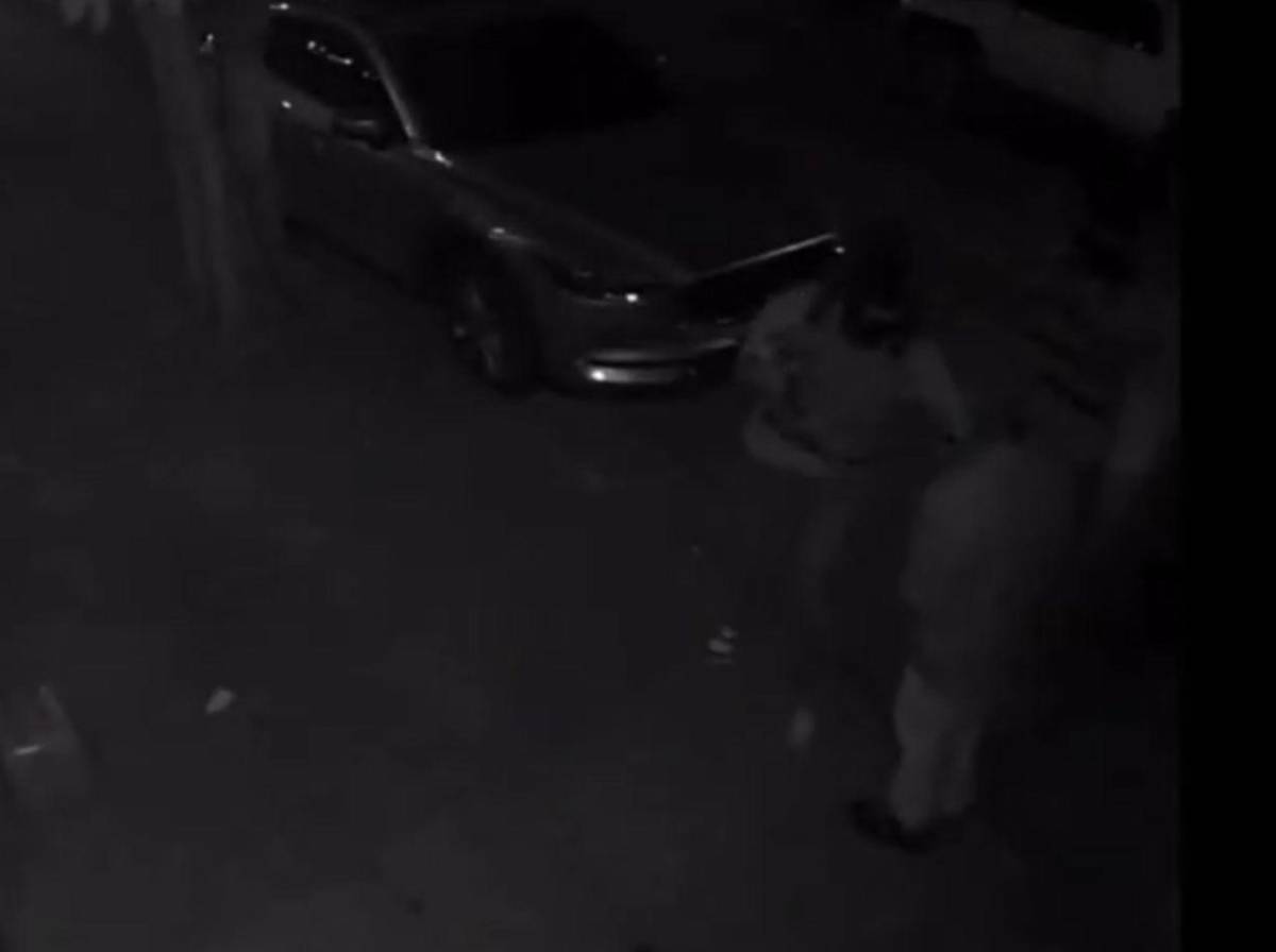 Así ultimaron a alias Calaca frente a un bar en el bulevar Morazán