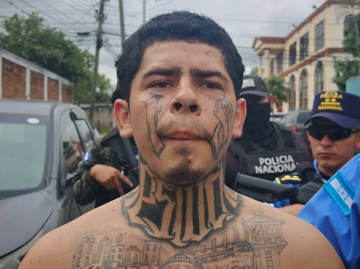 Atrevido y Cachorro imponían el terror en colonias de la capital, según la Policía