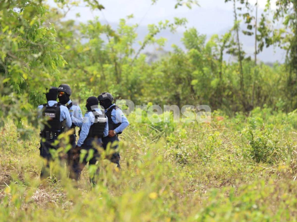 Rigores revive el dolor: forenses abren tumbas de las víctimas de la masacre