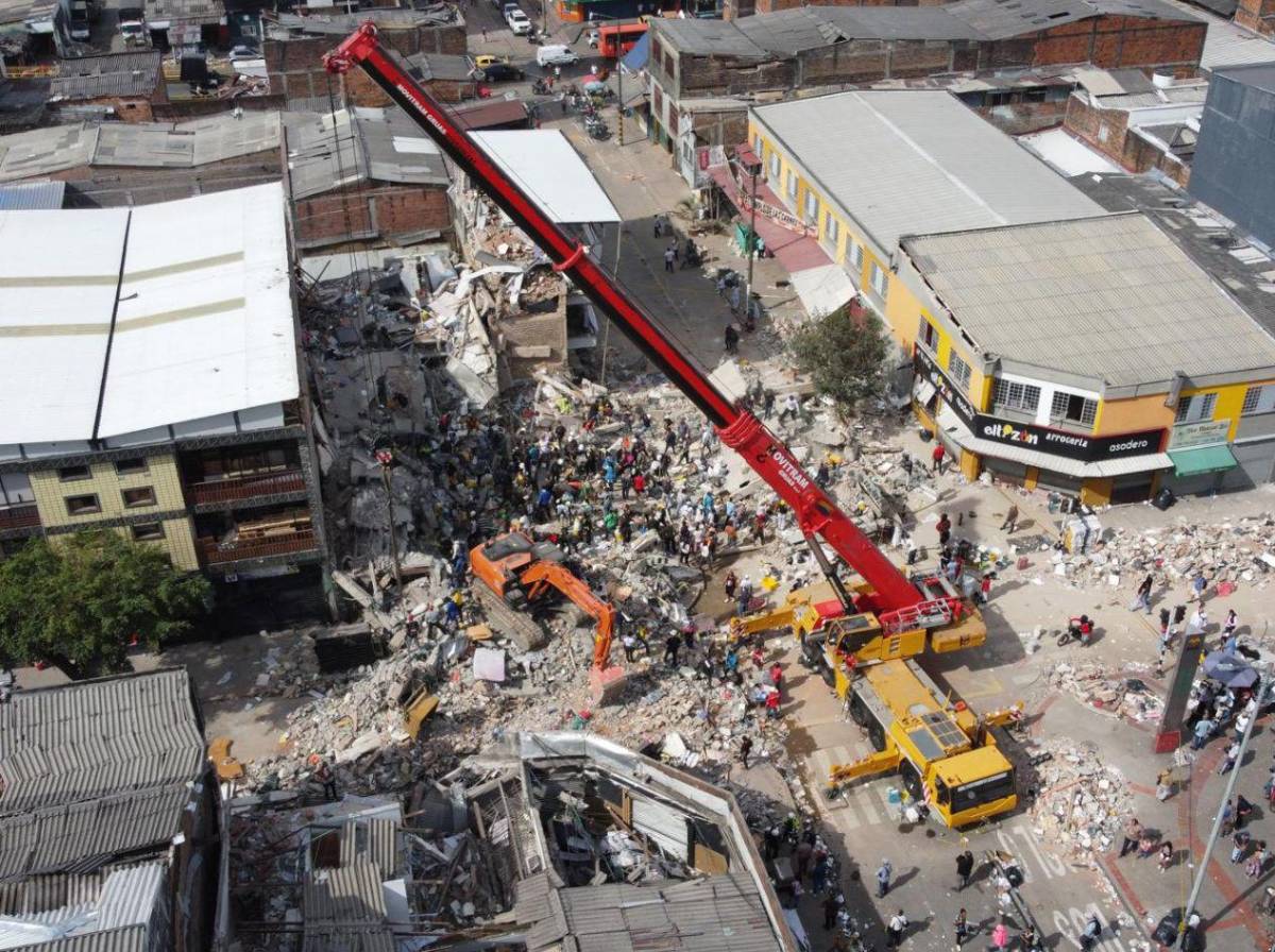 Abogada muere abrazando a su perrito durante el terremoto en Colombia