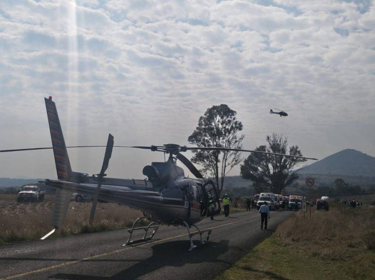 Tragedia en carretera: al menos nueve muertos tras impactar autobús contra un árbol