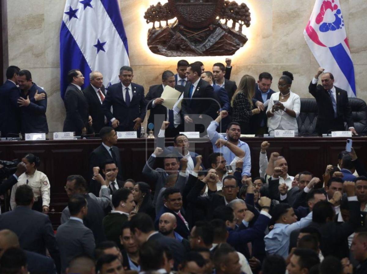 Empujones y cohetes: lo que no se vio del zafarrancho en el Congreso Nacional