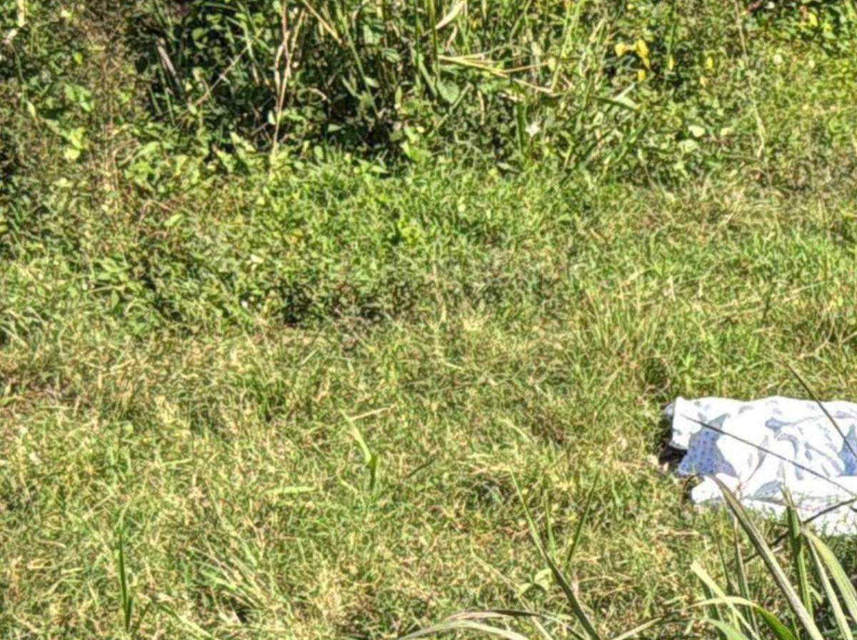 Identifican a pareja hallada muerta a la orilla de la CA-13 en El Progreso