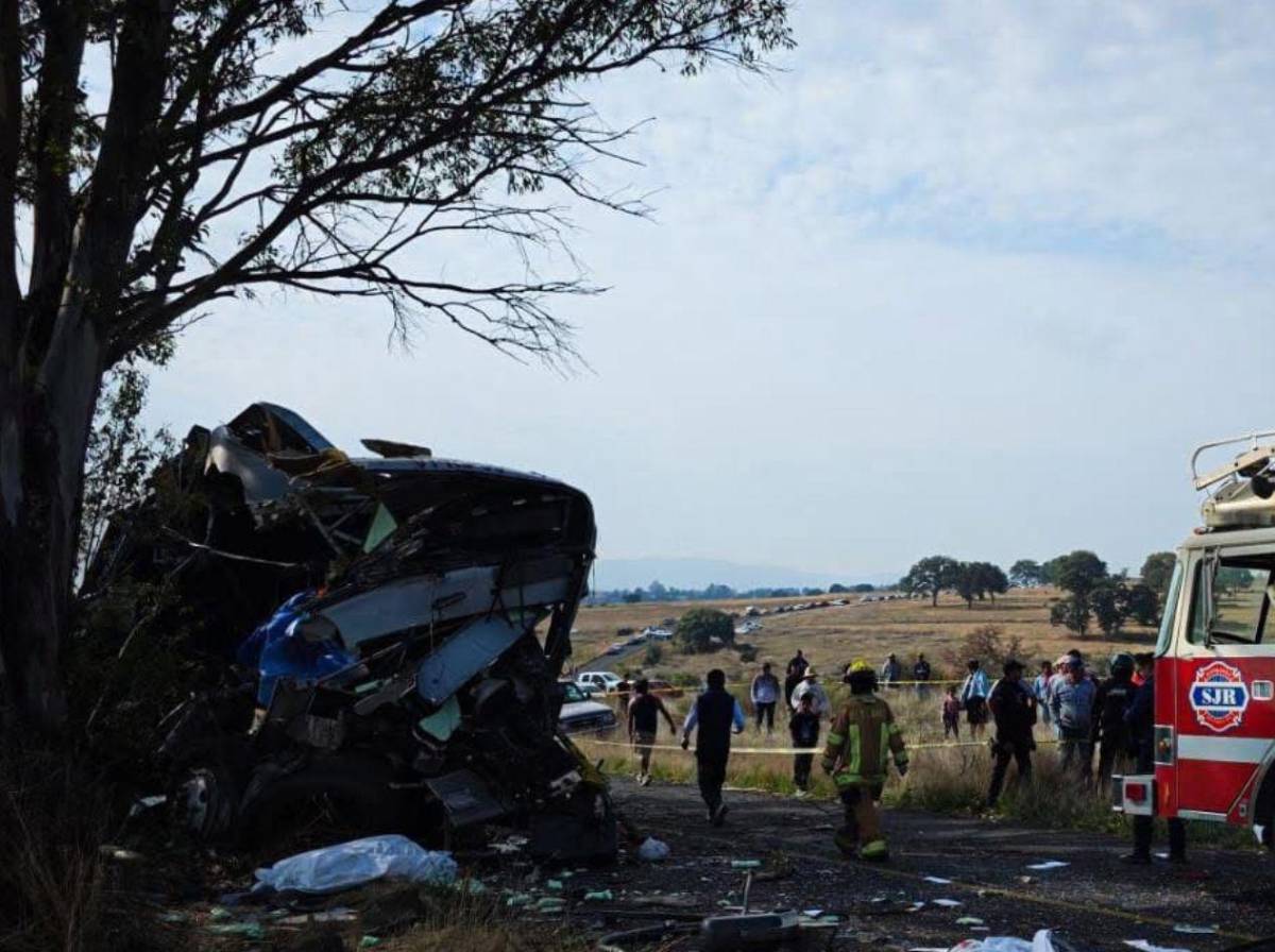 Tragedia en carretera: al menos nueve muertos tras impactar autobús contra un árbol
