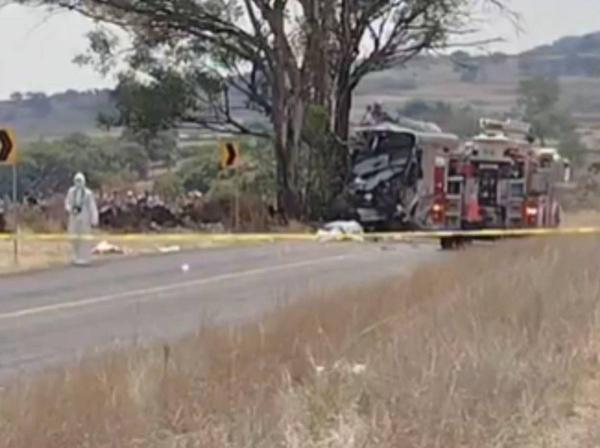 Tragedia en carretera: al menos nueve muertos tras impactar autobús contra un árbol