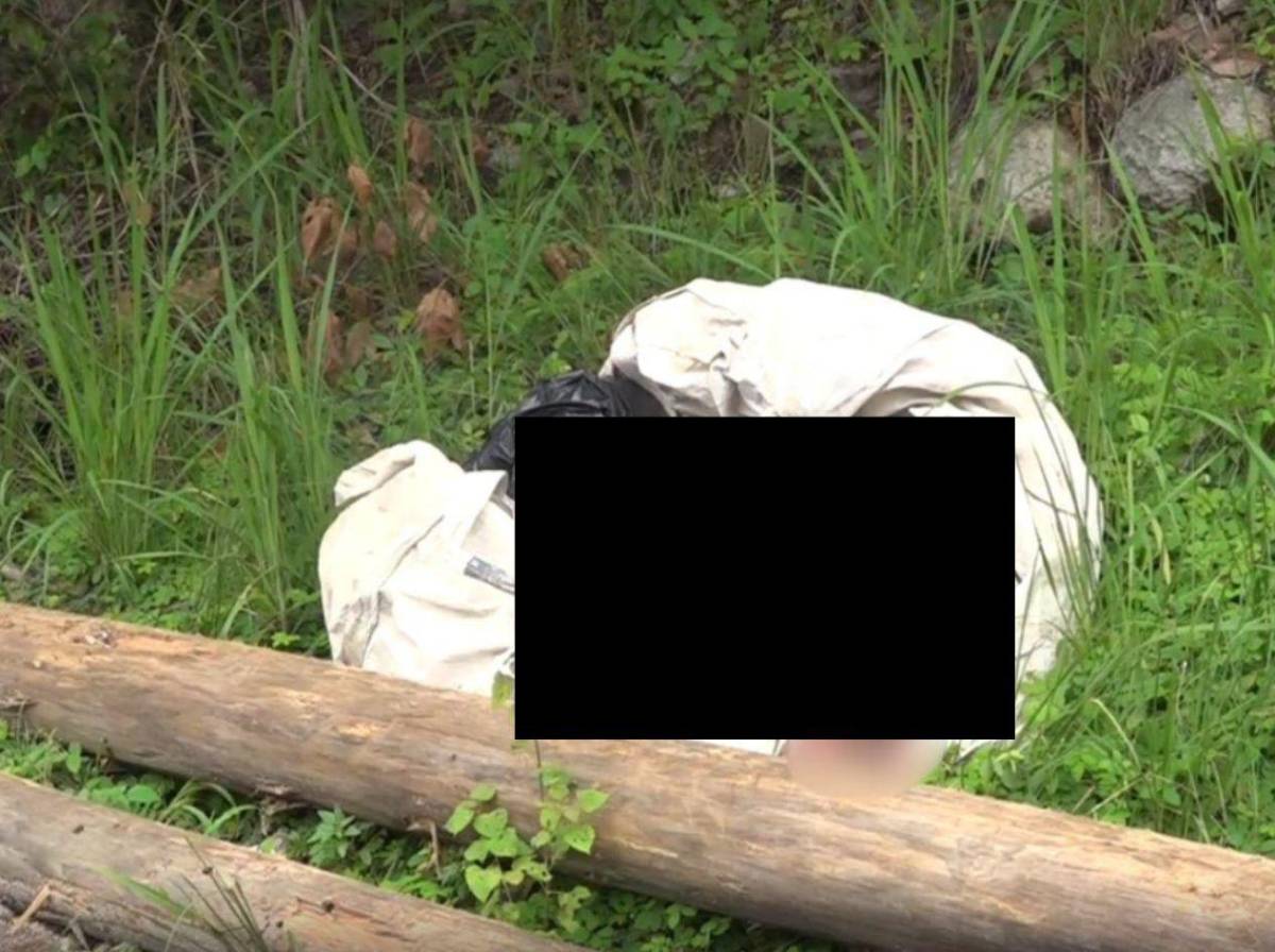 Surge macabra hipótesis sobre asesinato de la estudiante Merary Tomé