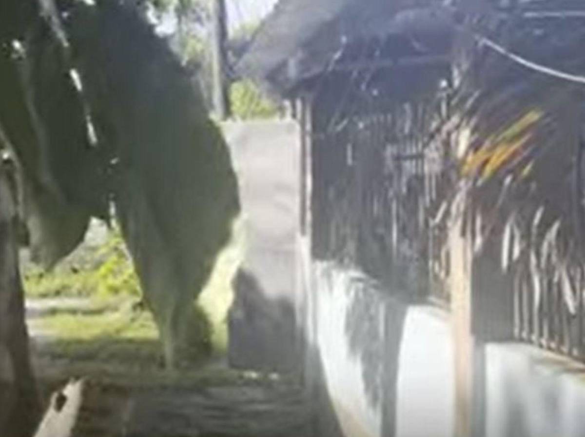 Investigan hipótesis sobre crimen de empleado de cablera en Choloma