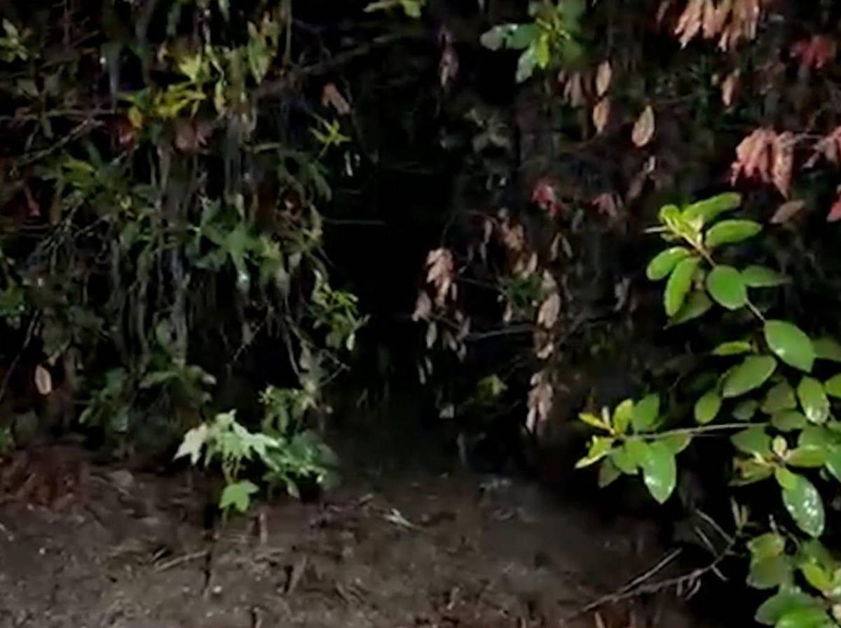 ¿Quién era el jovencito hallado muerto en calle hacia El Merendón?