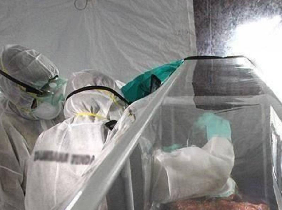 Van 88 muertos: brote letal de ébola obliga a la OMS a declarar emergencia internacional