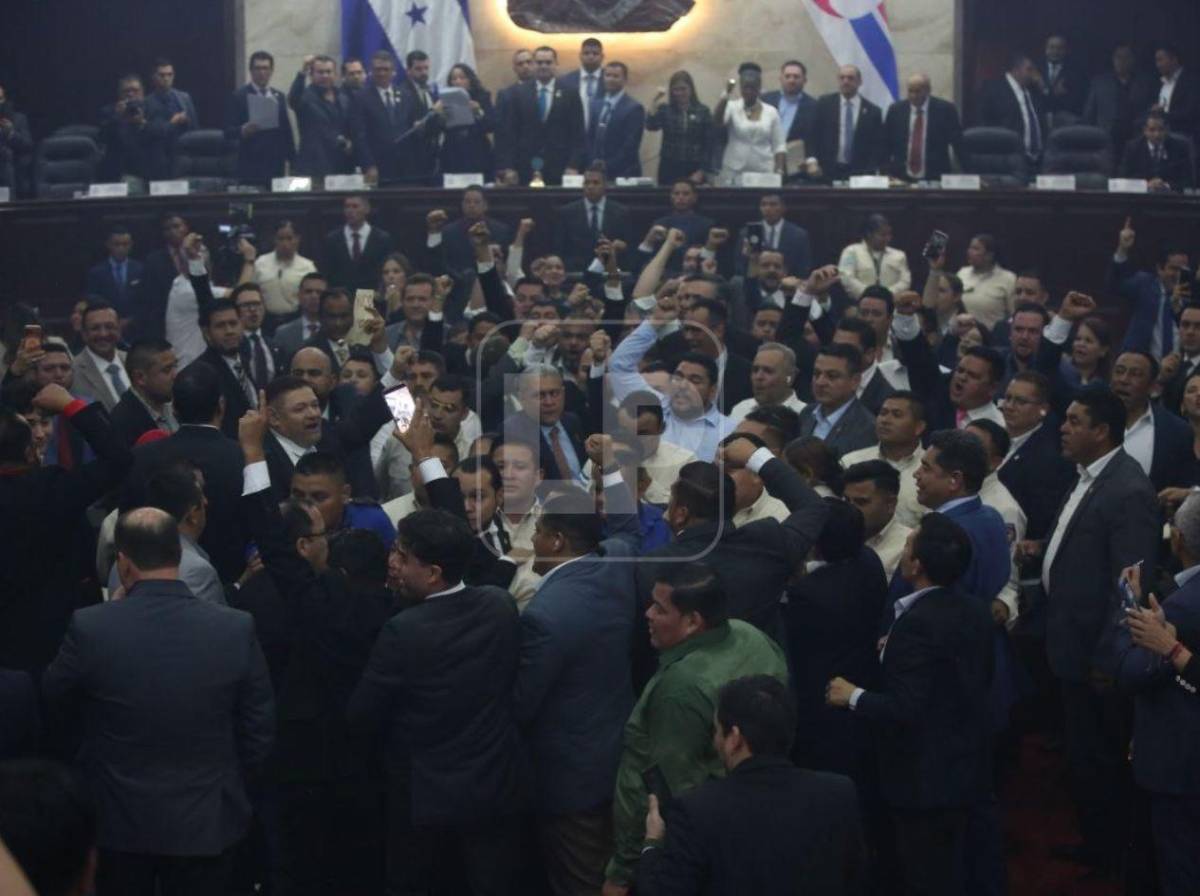 Empujones y cohetes: lo que no se vio del zafarrancho en el Congreso Nacional