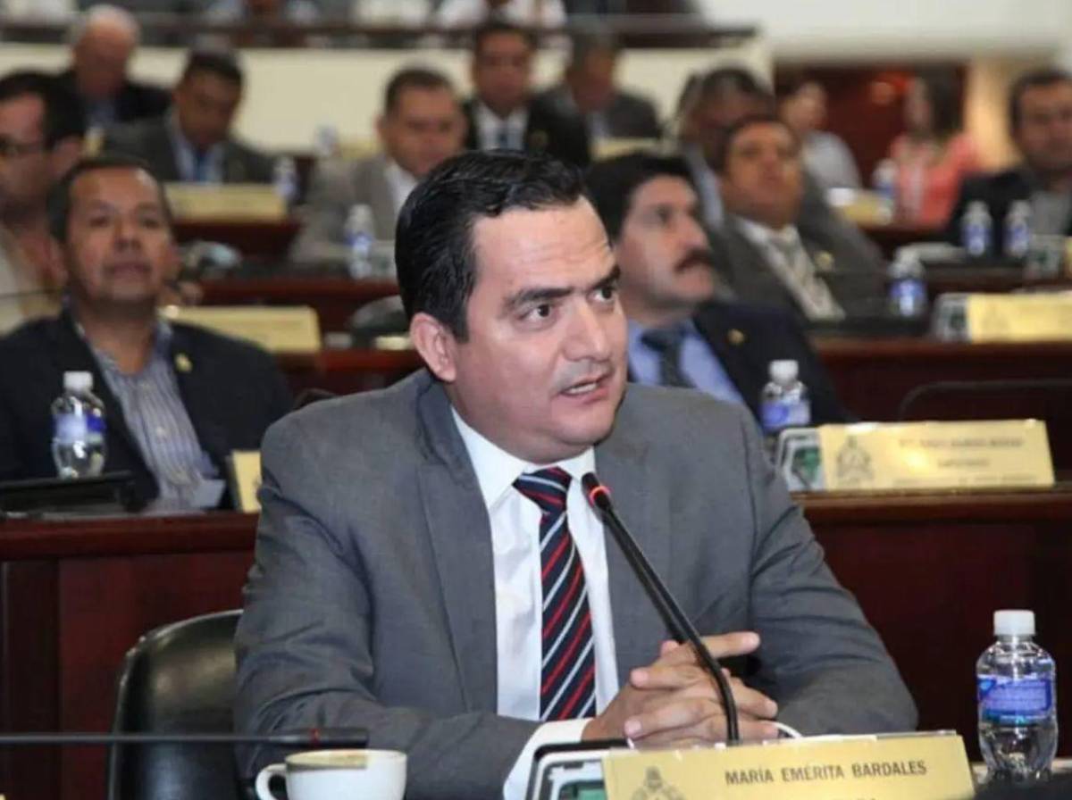 Conozca quiénes son los diputados electos en Santa Bárbara