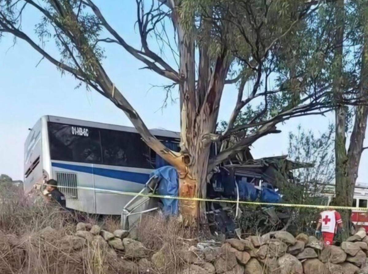 Tragedia en carretera: al menos nueve muertos tras impactar autobús contra un árbol