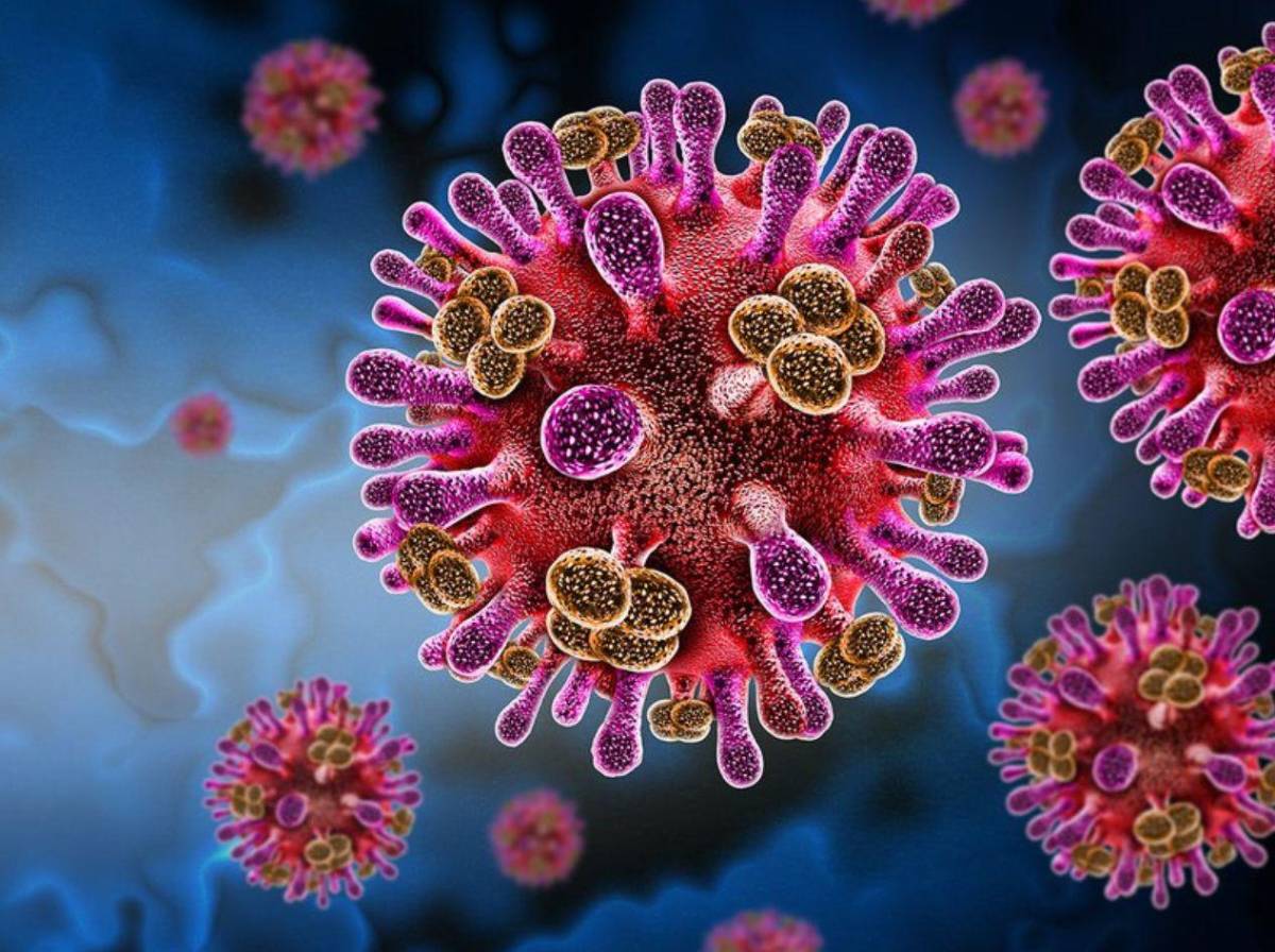 Alerta por hantavirus: qué es, cómo se transmite y cuáles son sus síntomas