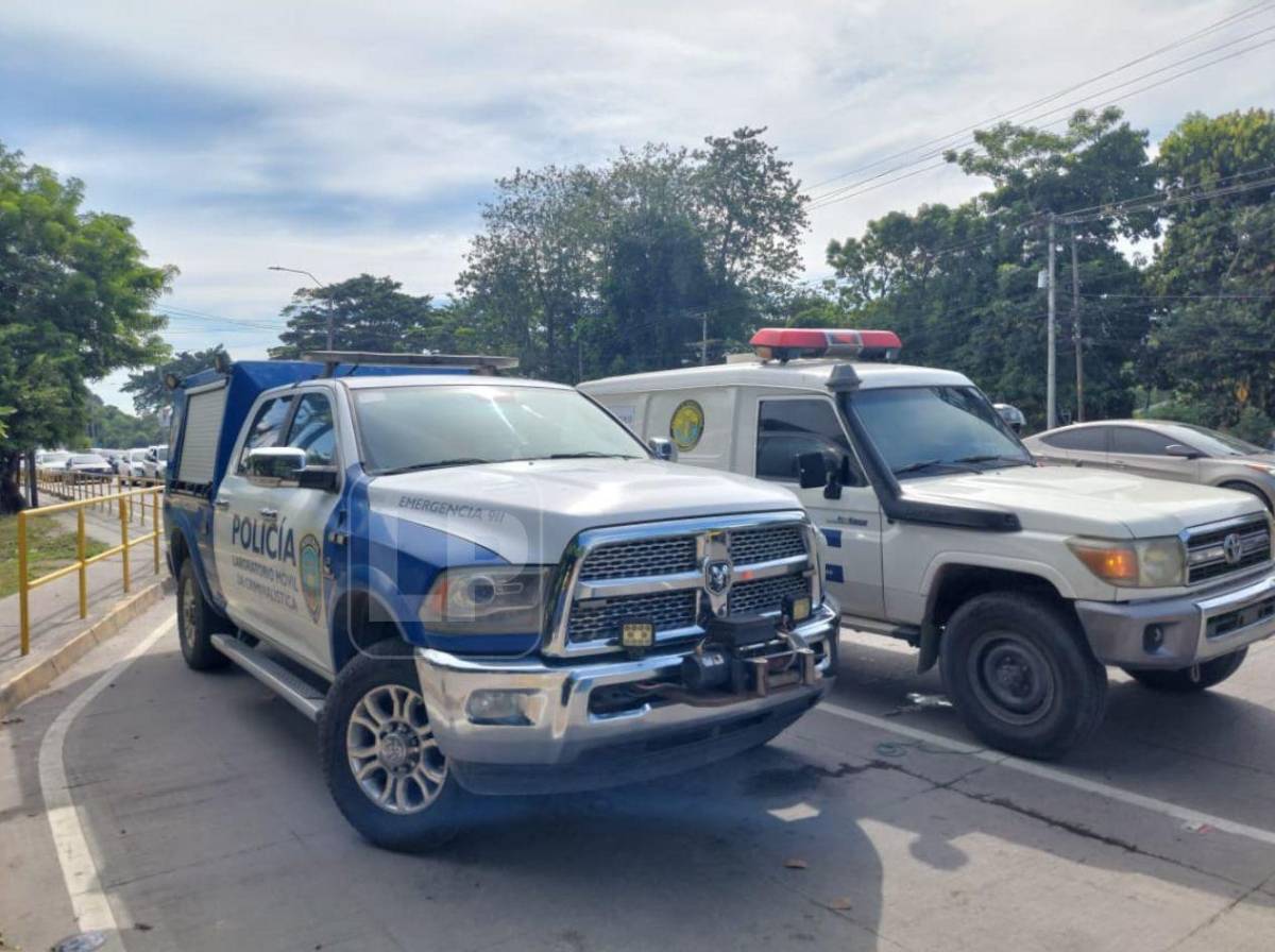 Terror en bus Impala: guardia se opuso a asalto y ladrón lo asesinó